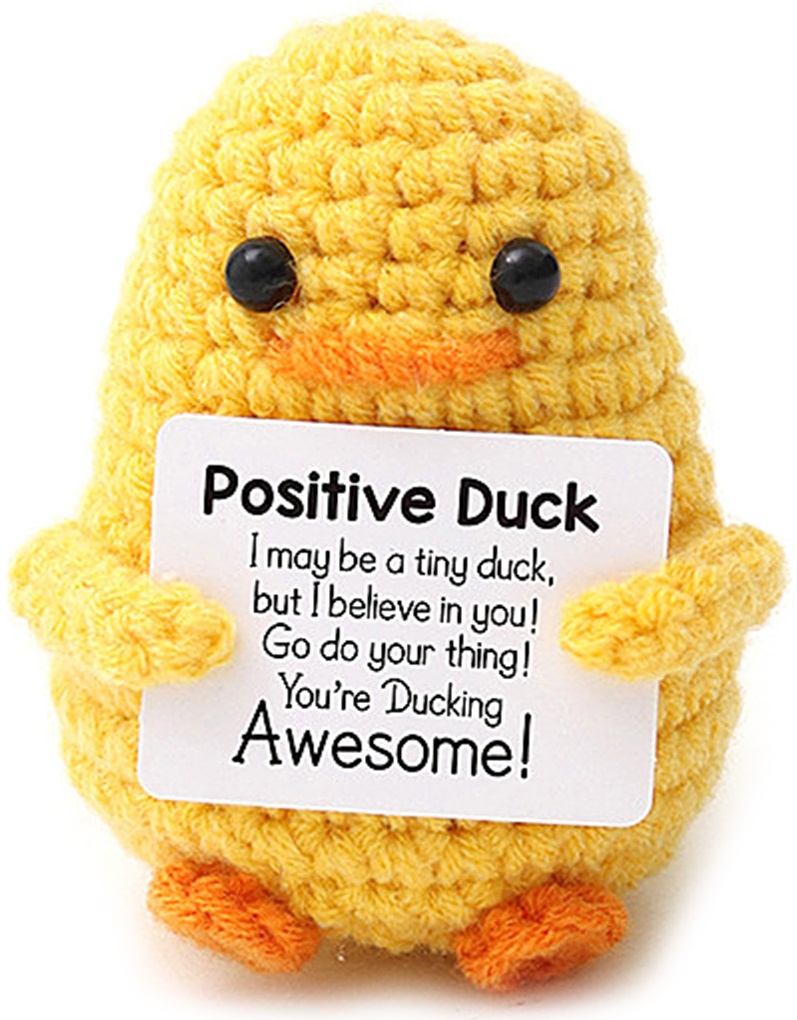 T-I3.1 T2405-051 Positive Duck 7cm