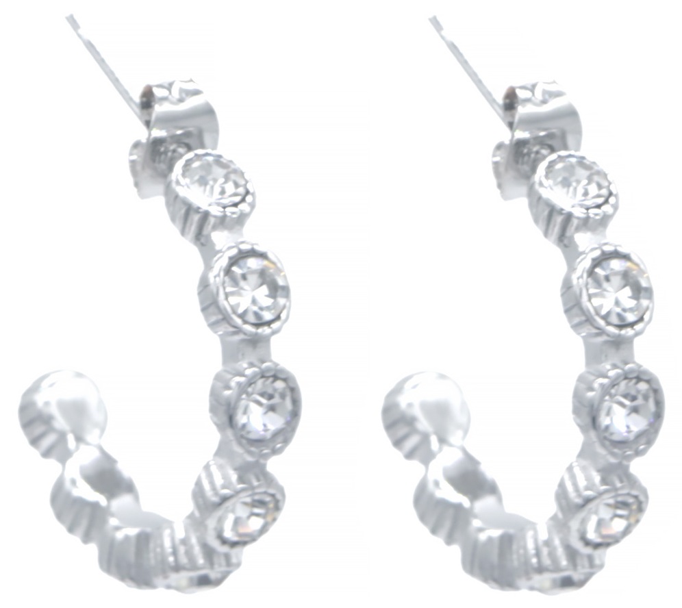 B-D19.1 E2457-031S S. Steel Earrings Crystals 2.5cm